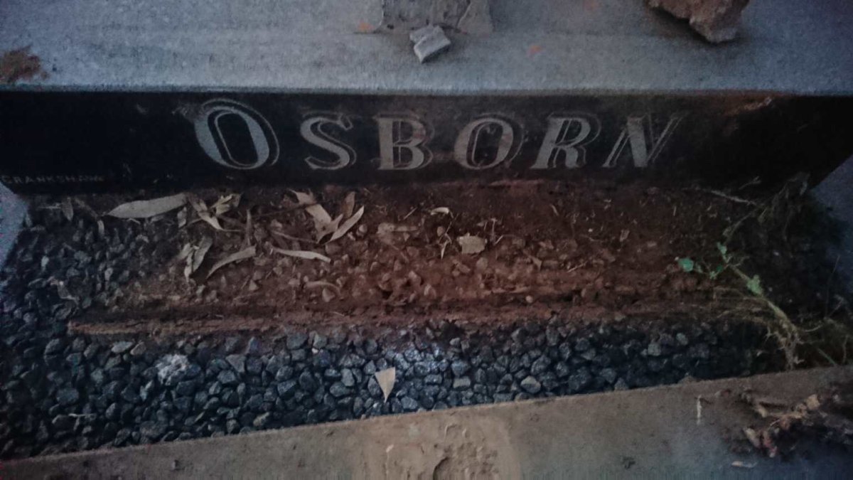 OSBORN Susanna Sofia 1909-1989