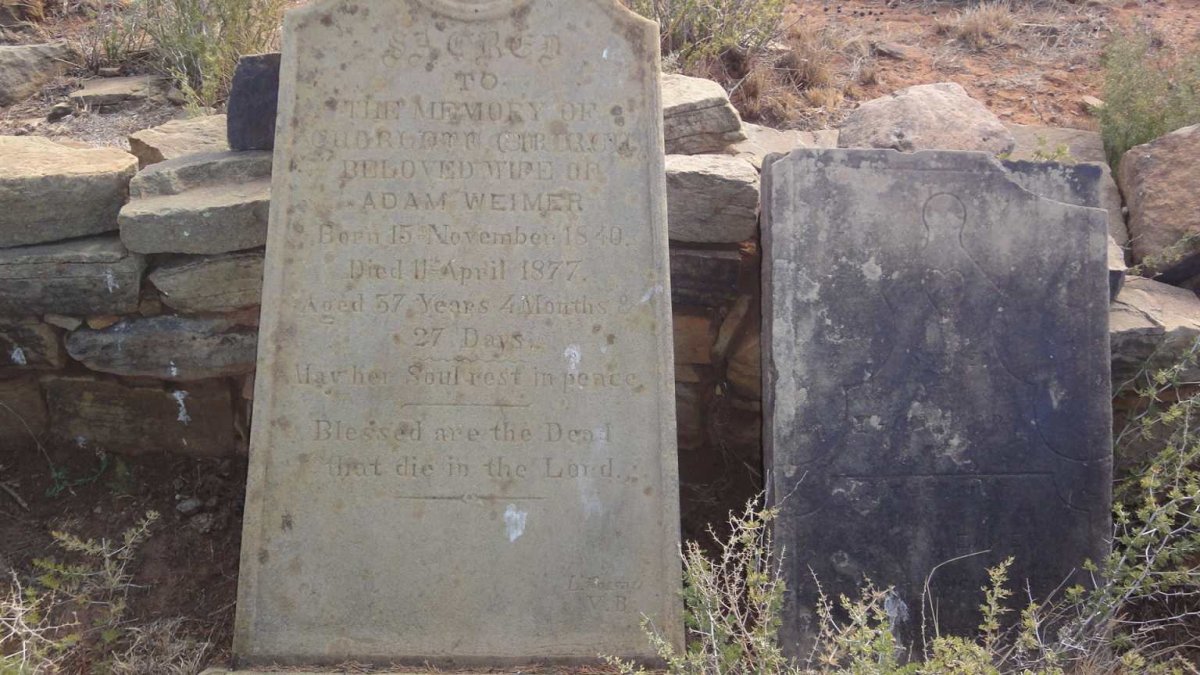 4. WEIMER graves