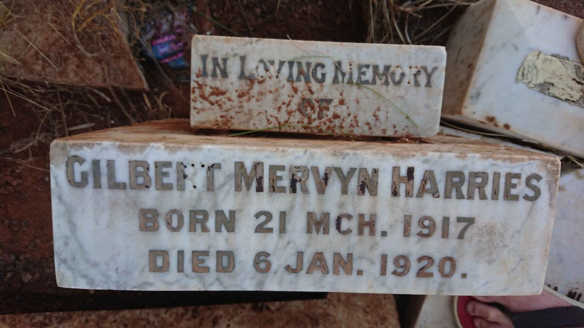 HARRIES Gilbert Mervyn 1917-1920