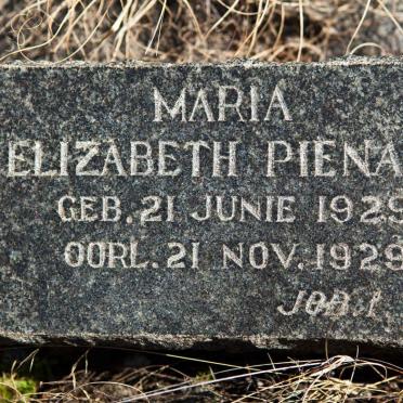 Eastern Cape, VENTERSTAD district, Rooster Hoek 113, farm cemetery_1