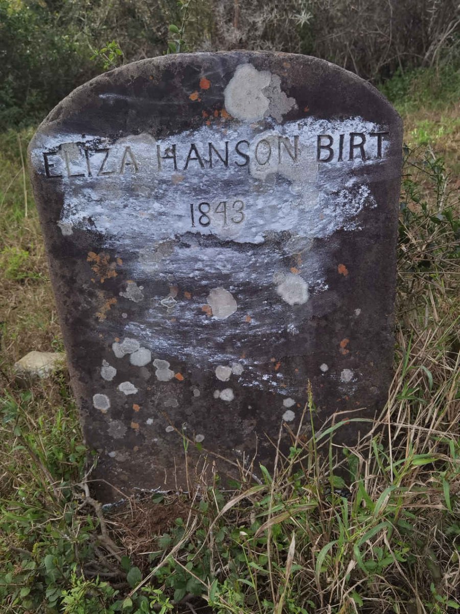 BIRT Eliza Henson -1843