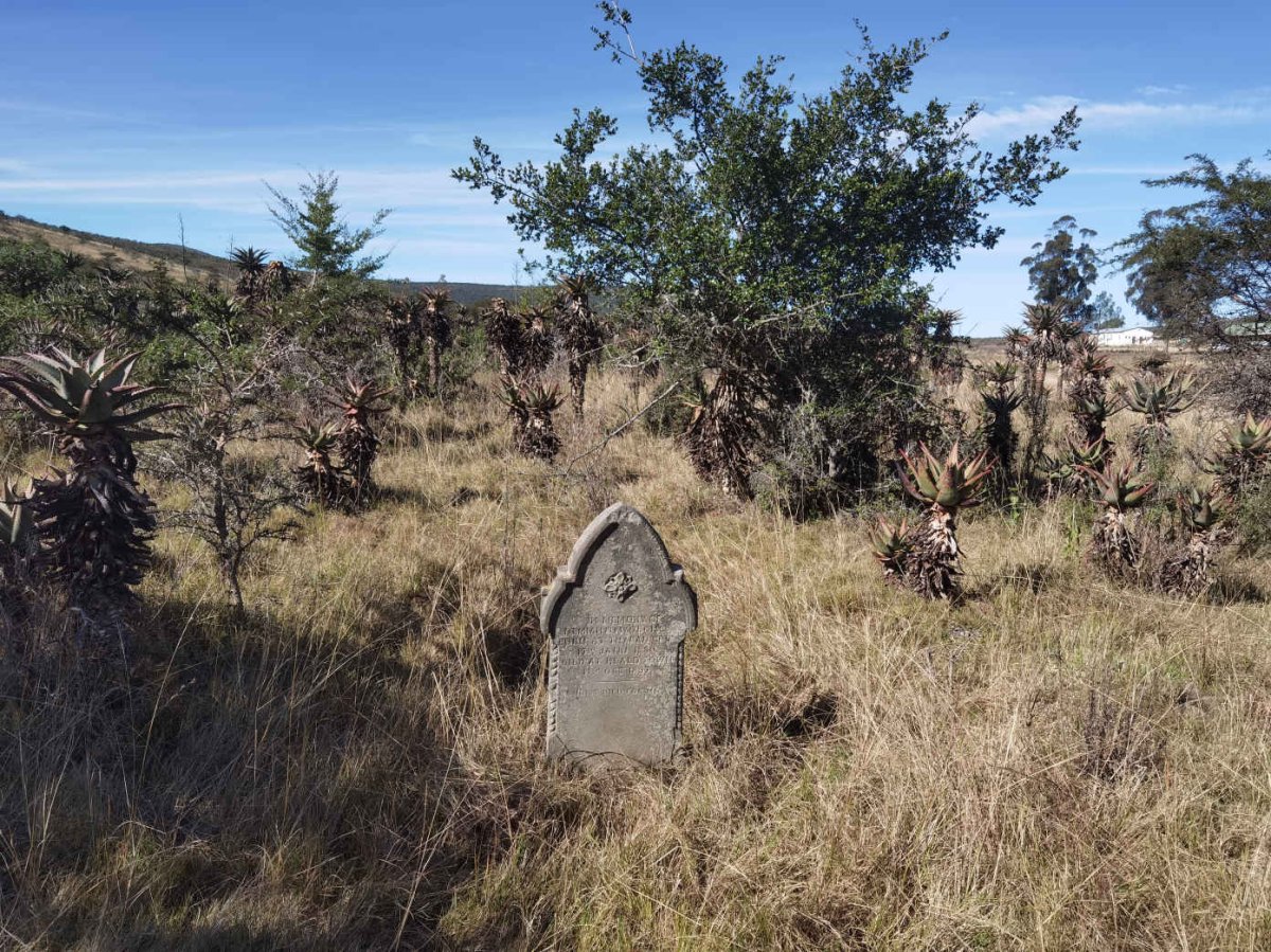 09. Old cemetery