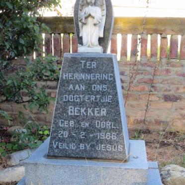 Eastern Cape, WILLOWMORE district, Baviaanskloof, Cedar Falls