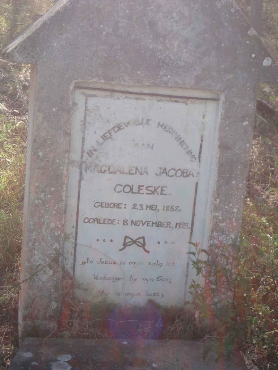 COLESKE Magdalena Jacoba 1858-1929