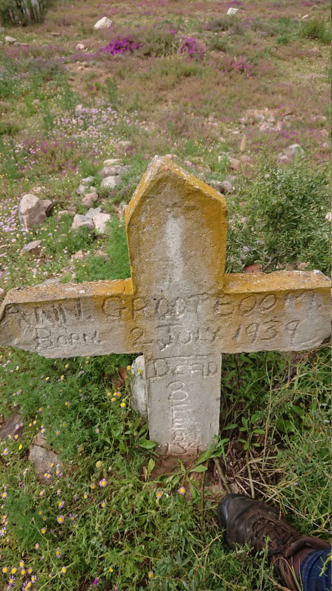 GROOTBOOM Ann 1939-1959