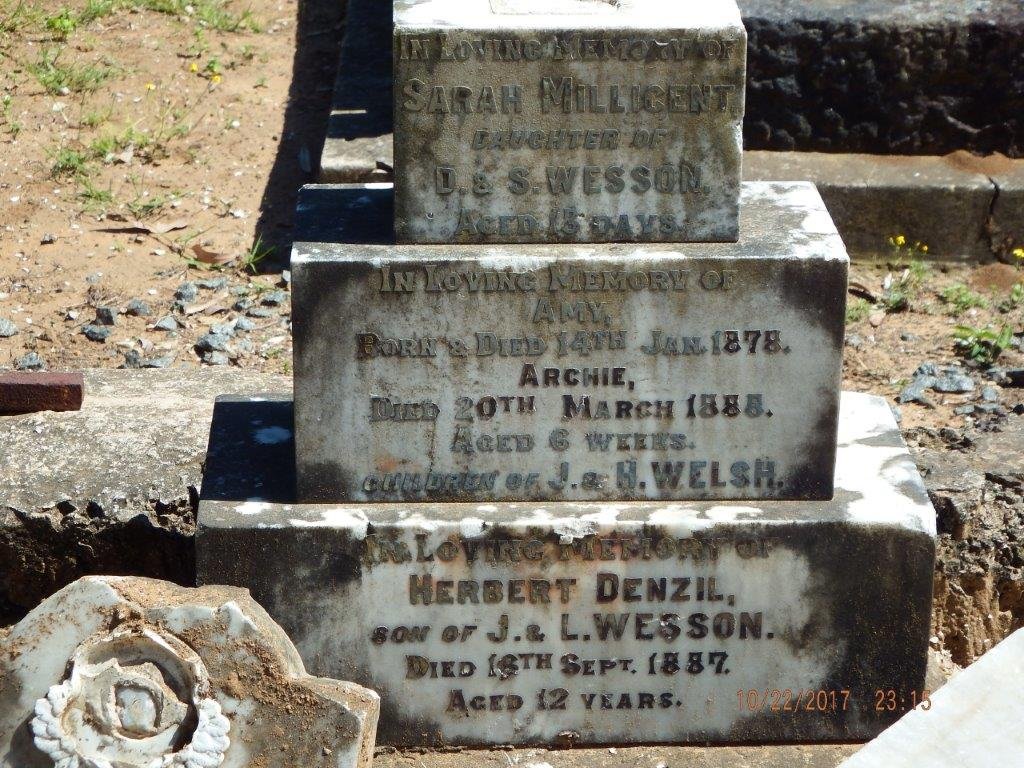 WESSON Sarah Millicent :: WESSON Herbert Denzil -1887 :: WELSH Amy -1878 :: WELSH Archie 1888-1888