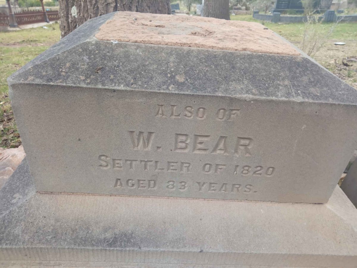 BEAR W.