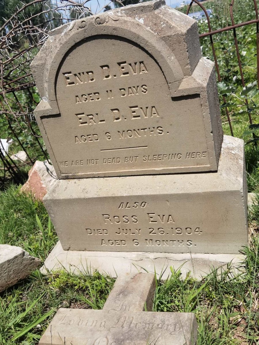 EVA Enid D. :: EVA Erl D. :: EVA Ross -1904