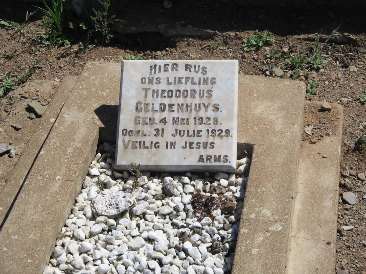 GELDENHUYS Theodorus 1928-1929
