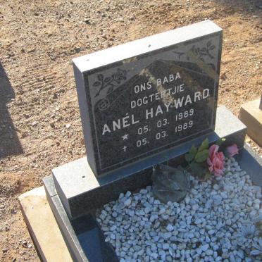 HAYWARD Anel 1989-1989