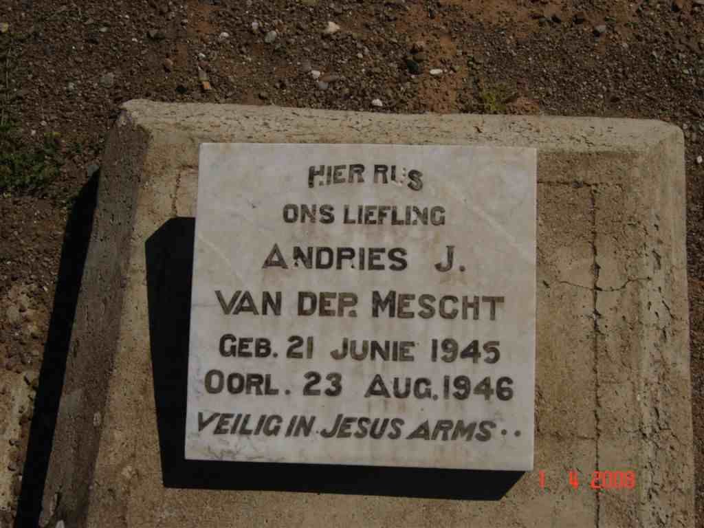 MESCHT Andries J., van der 1945-1946
