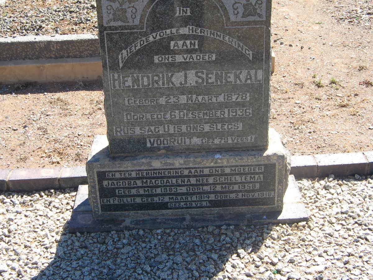 SENEKAL Hendrik J. 1878-1936 &amp; Jacoba Magdalena SCHELTEMA 1883-1958