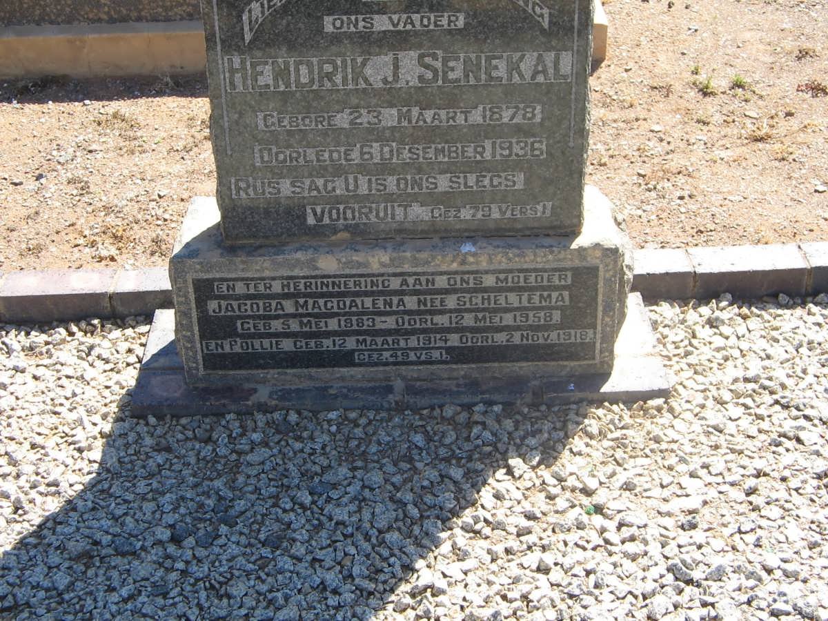 SENEKAL Hendrik J. 1878-1936 &amp; Jacoba Magdalena SCHELTEMA 1883-1958