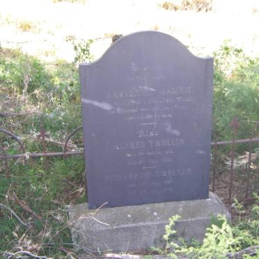 TROLLIP Alfred 181?-1872 &amp; Elizabeth 1820-1879 :: TROLLIP ? James ?