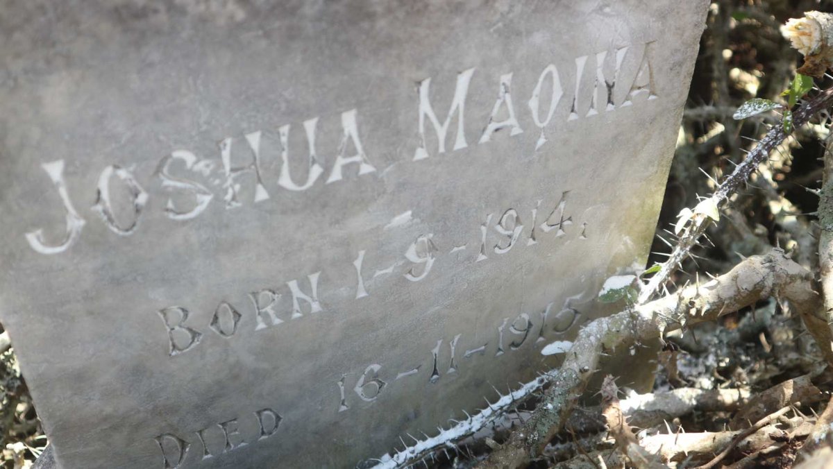 MAQINA Joshua 1914-1915