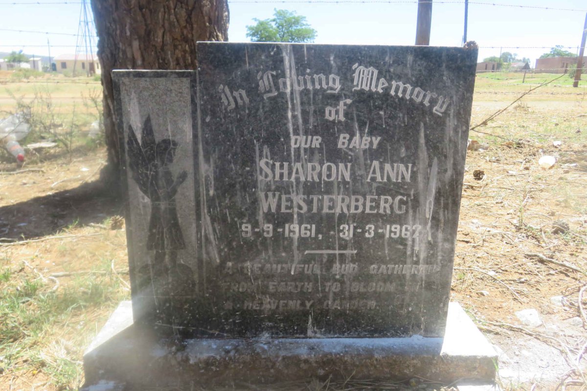 WESTERBERG Sharon Ann 1961-1962
