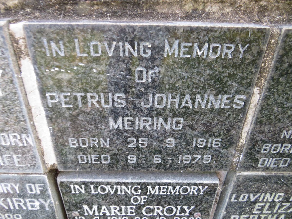 MEIRING Petrus Johannes 1916-1979