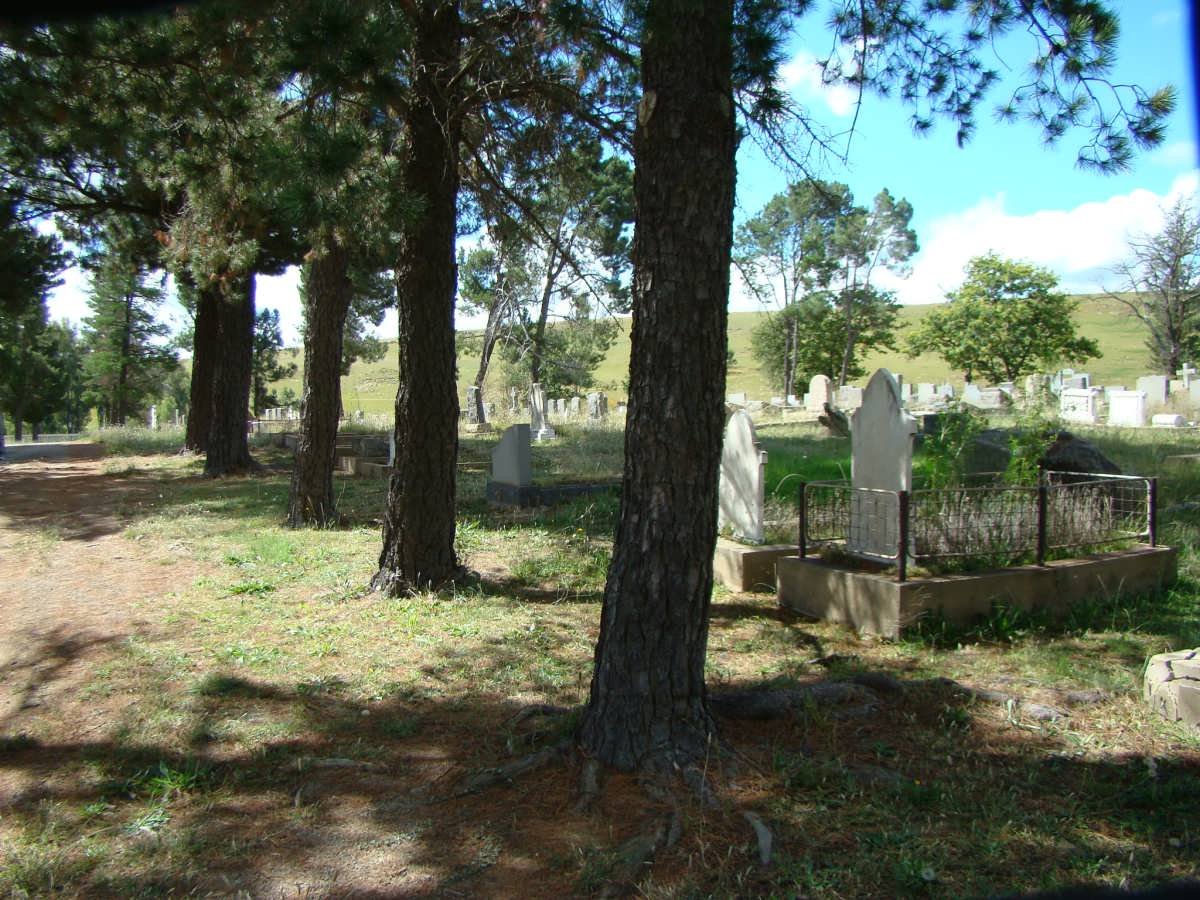 4. Overview