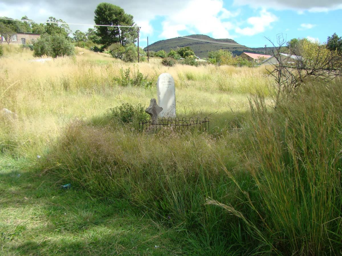 2. Overview