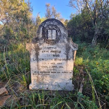 Eastern Cape, MIDDELBURG district, Joubertsberge, Bul Hoek 285, Bulhoek, farm cemetery