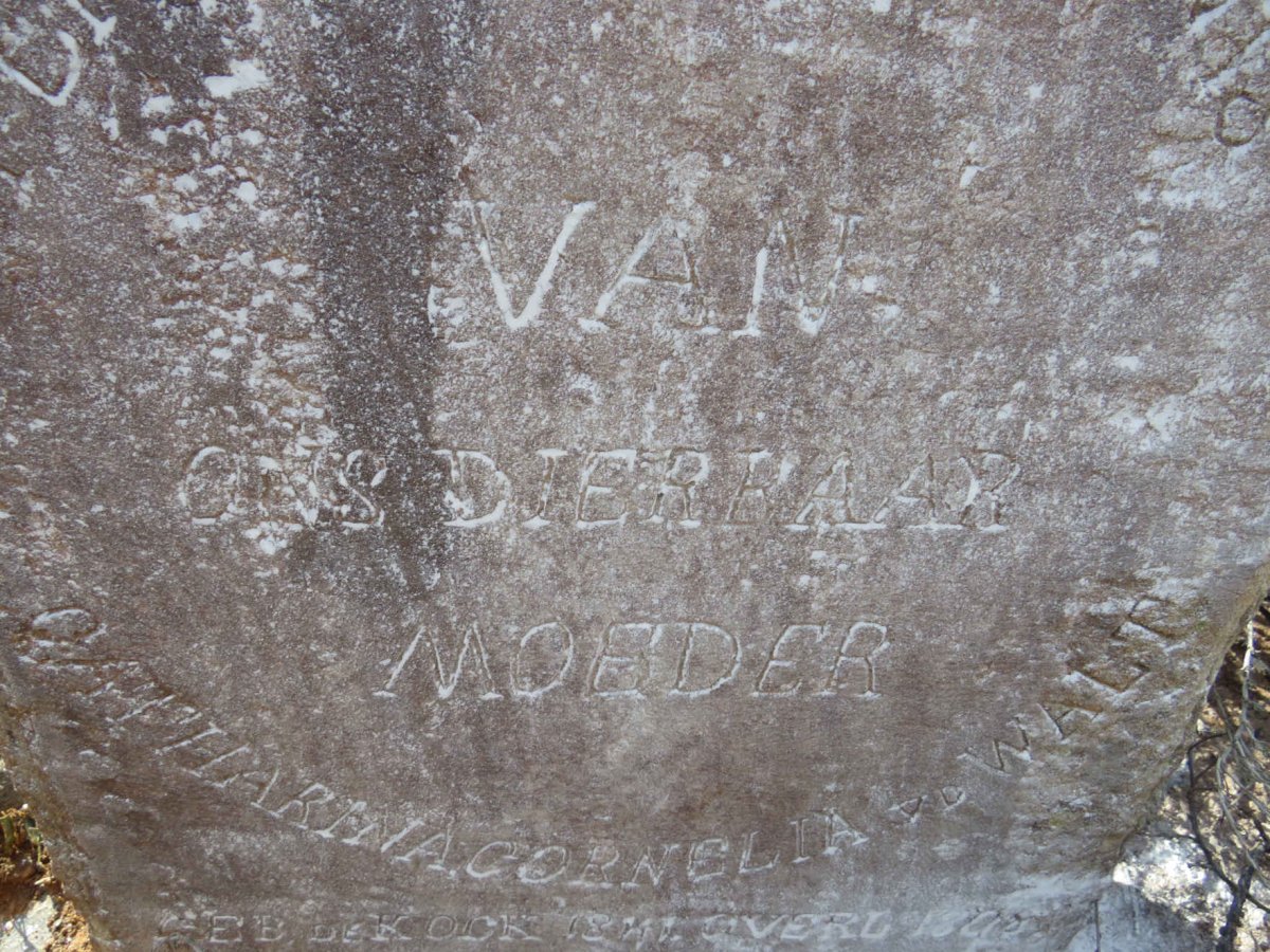 WALT Catharina Cornelia, v.d. nee DE KOCK 1841-18?8 _2