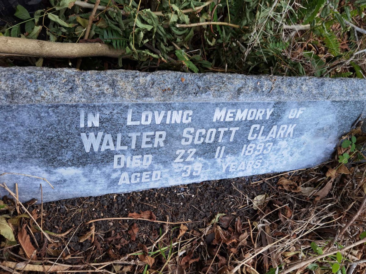 CLARK Walter Scott -1893