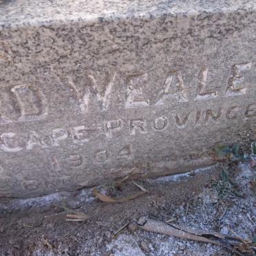 WEALE William Edward -1904
