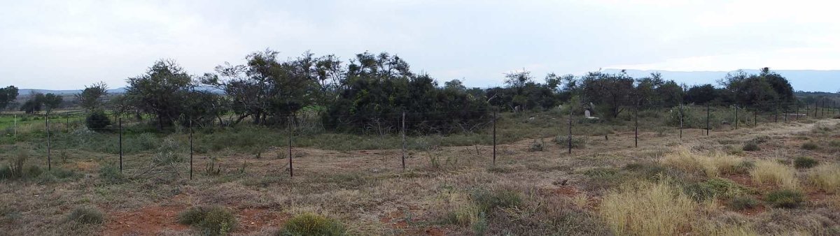 1. Overview / Oorsig