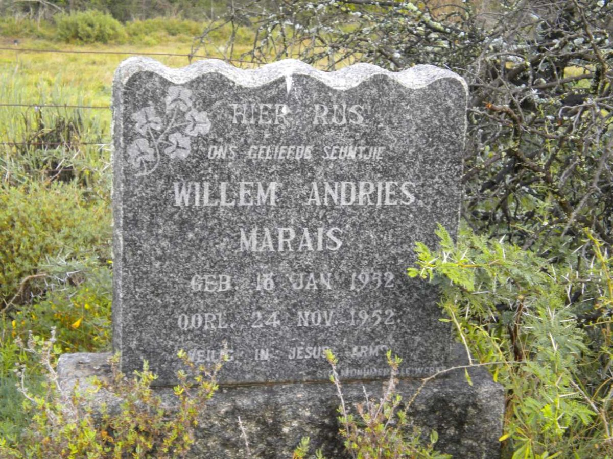 MARAIS Willem Andries 1952-1952