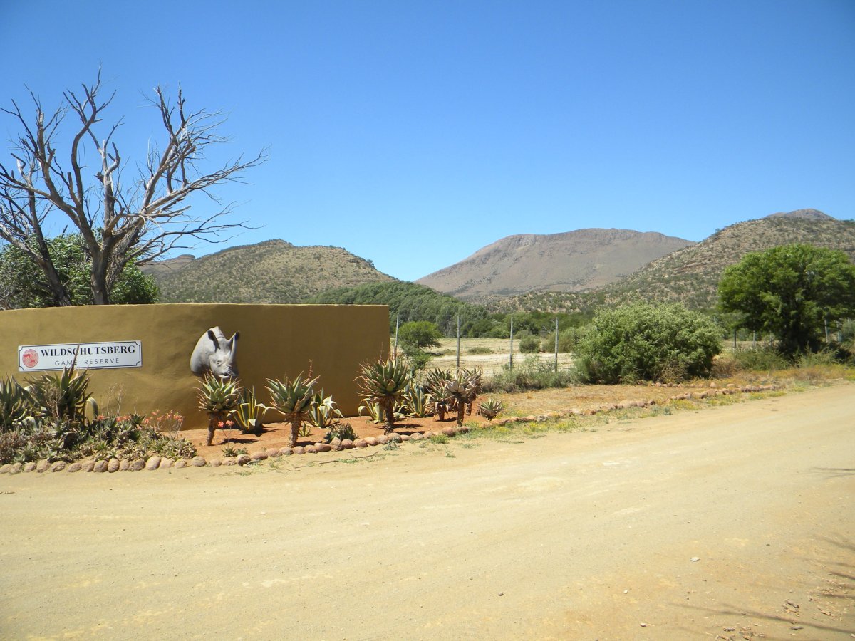 1. Overview