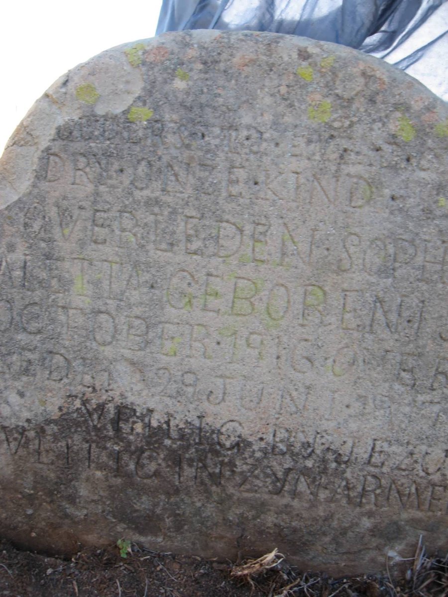 DRY Sophia Aletta 1916-1917