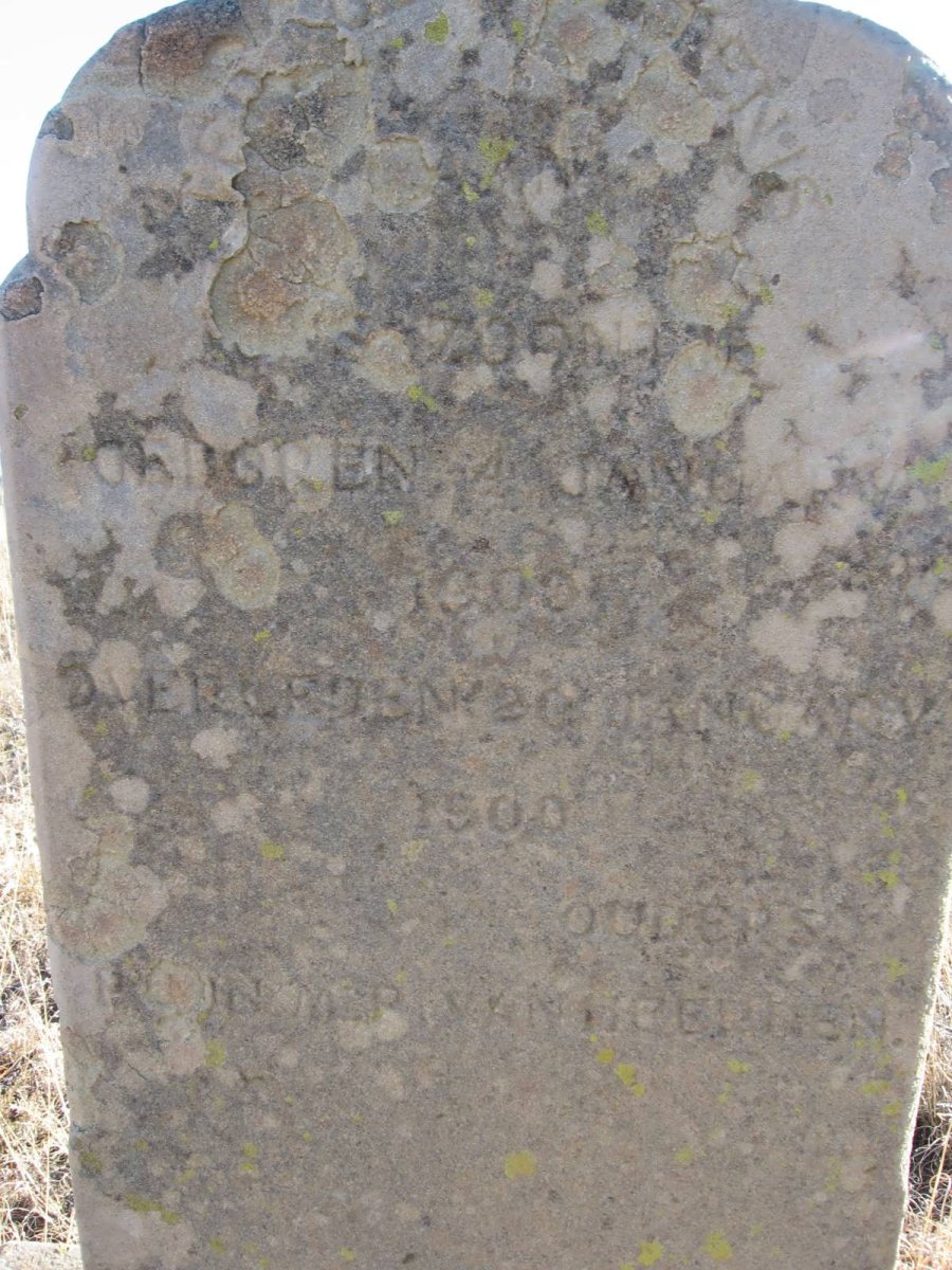 ? 1900-1900